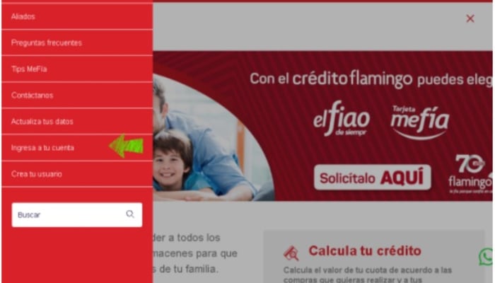 estado de cuenta flamingo