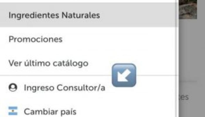 estado de cuenta swiss just